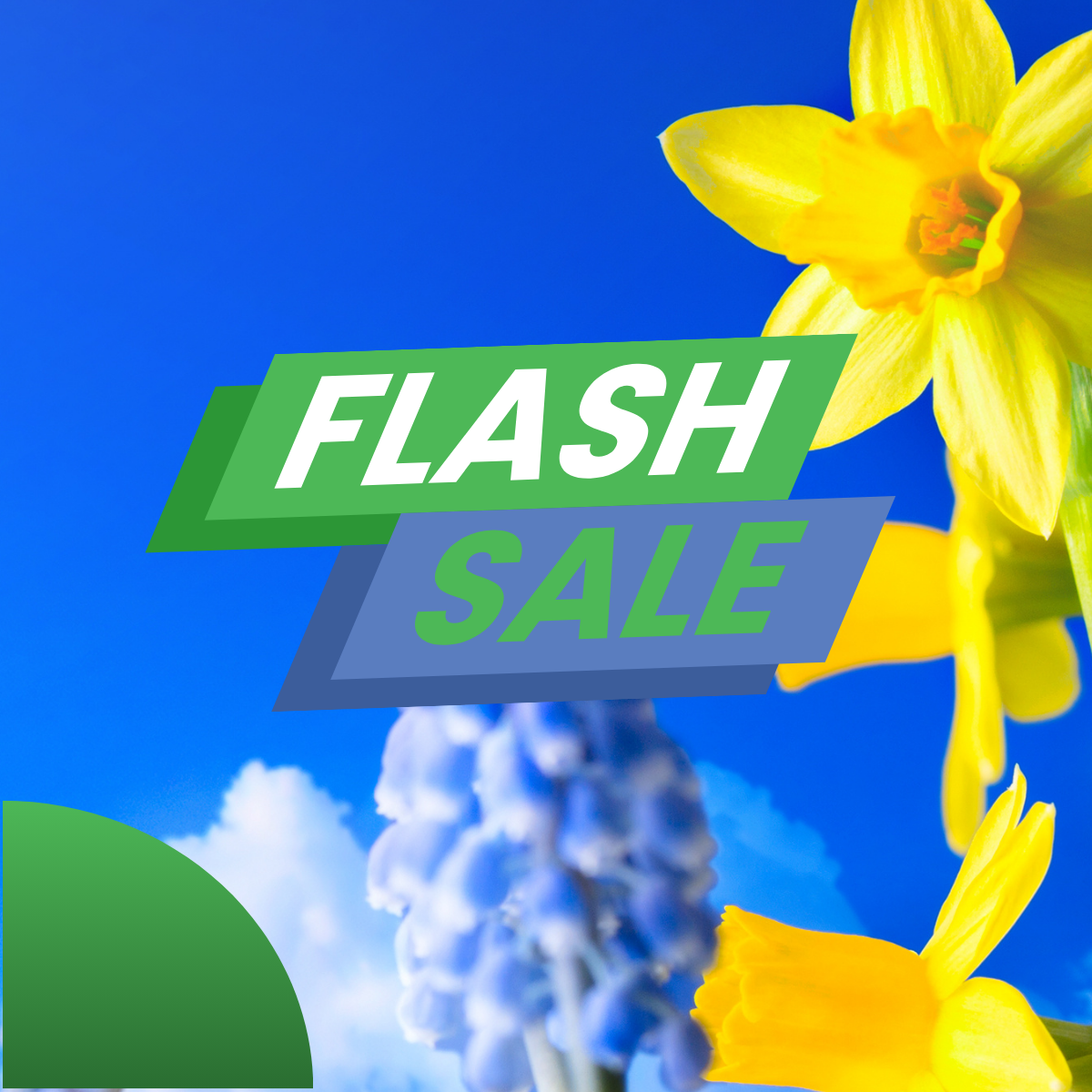 Our spring sale is on now!